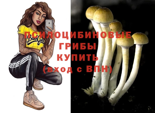 эйфоретик Бугульма